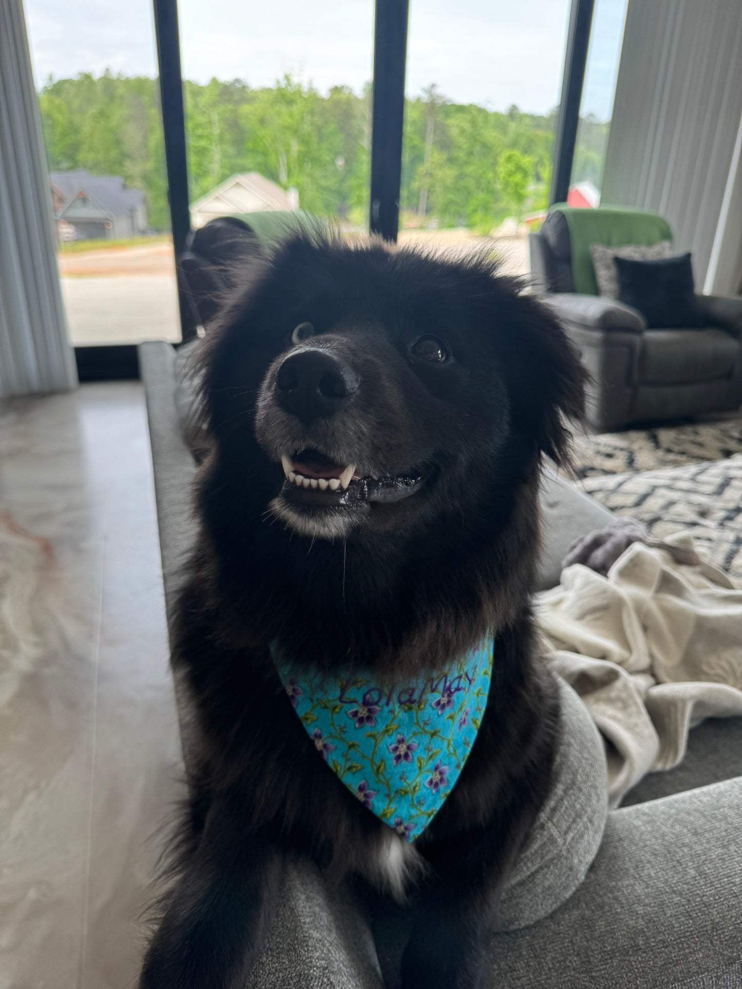 Large Dog Bandana - Aqua Floral - Personalized & Embroidered