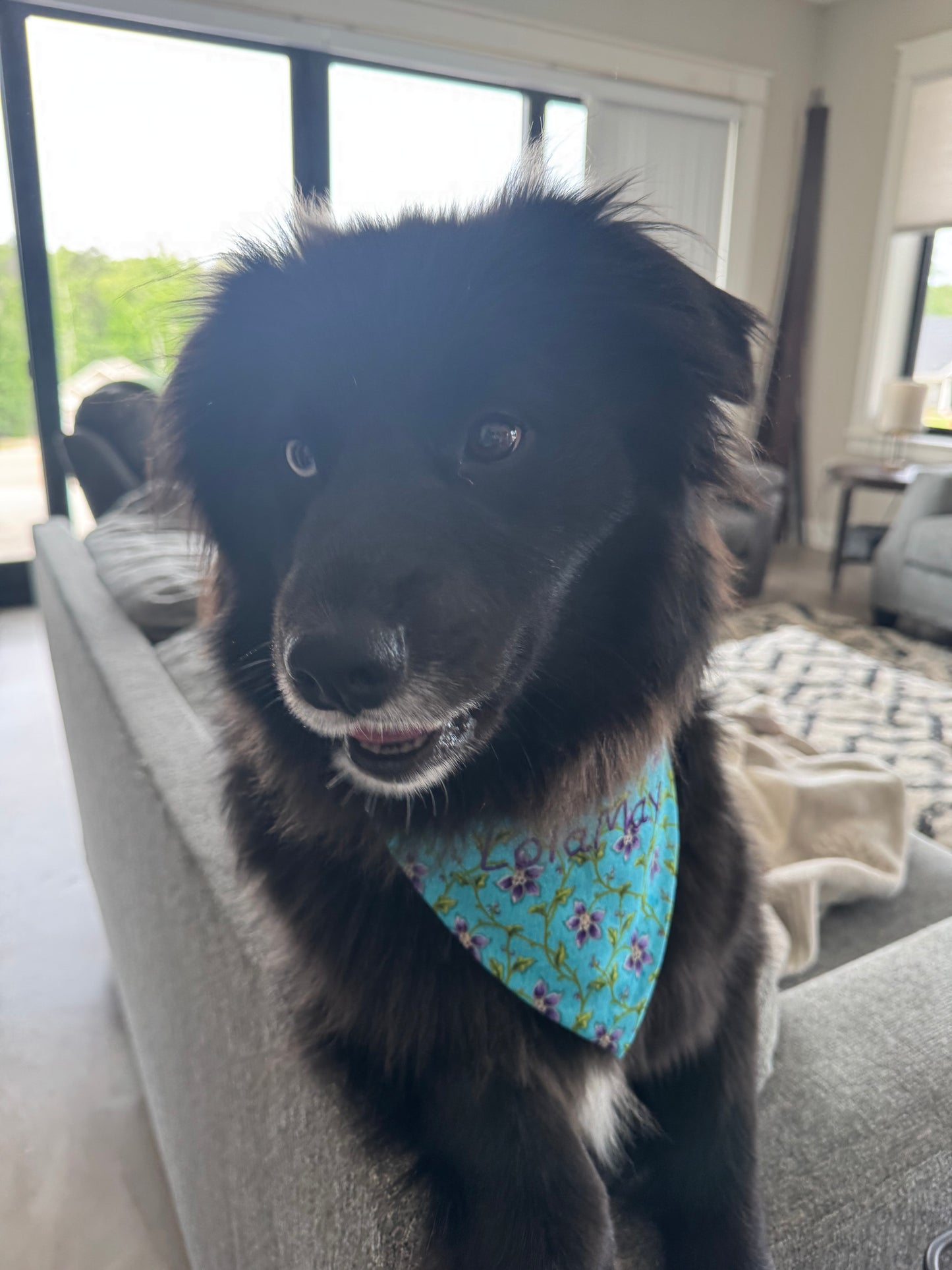 Large Dog Bandana - Aqua Floral - Personalized & Embroidered
