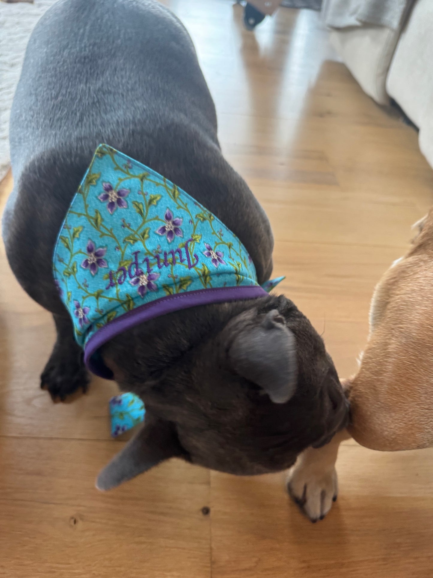 Medium Dog Bandana - Aqua Floral Print - Personalized & Embroidered