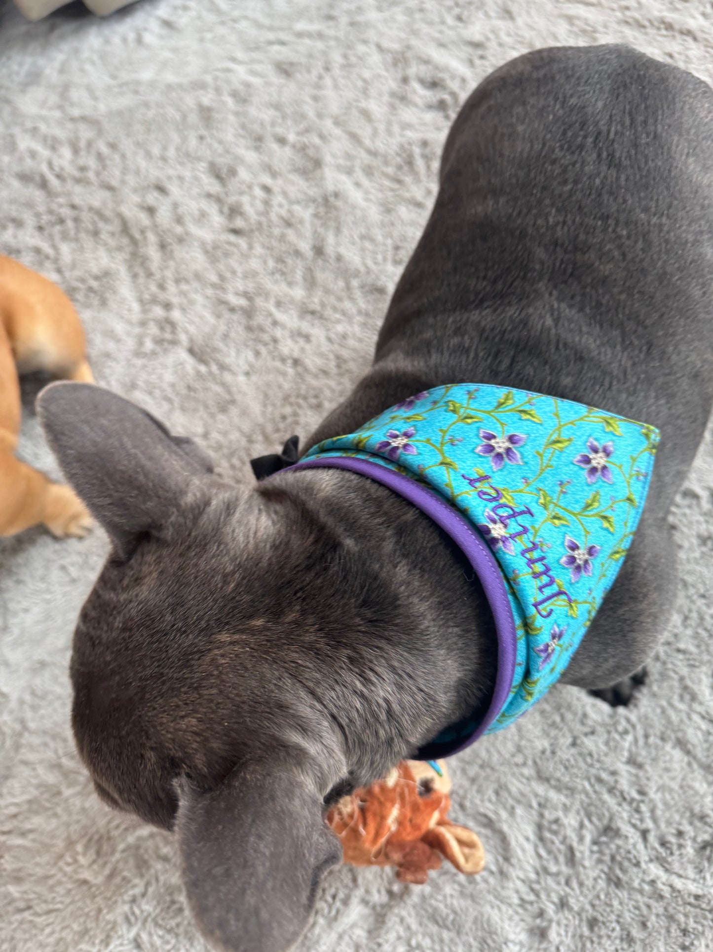 Medium Dog Bandana - Aqua Floral Print - Personalized & Embroidered