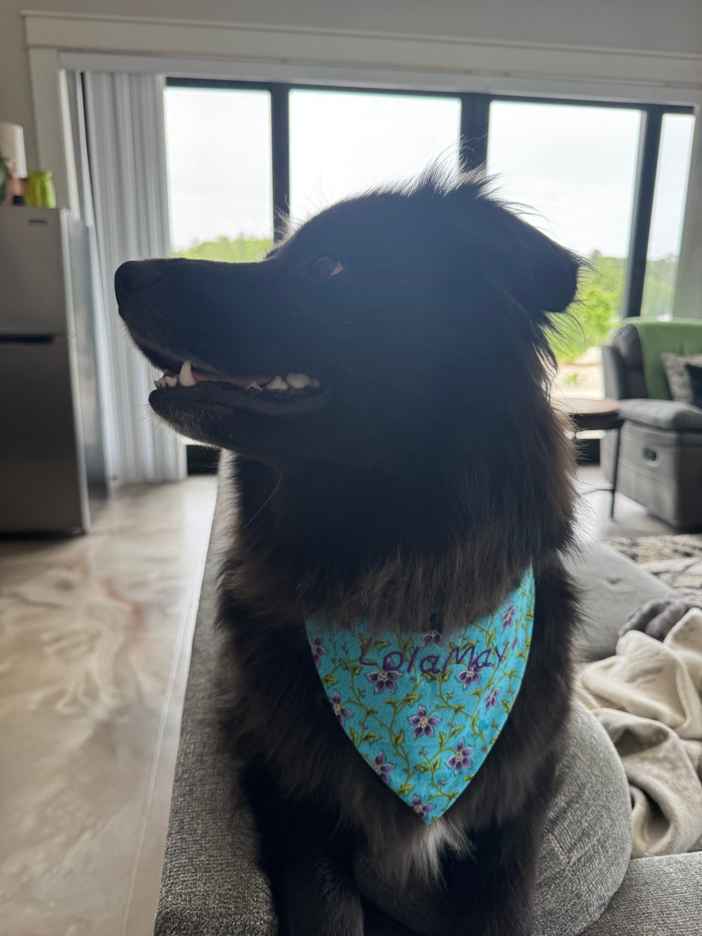 Large Dog Bandana - Aqua Floral - Personalized & Embroidered